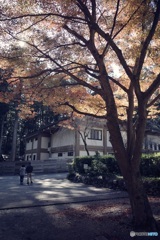 小国神社 3