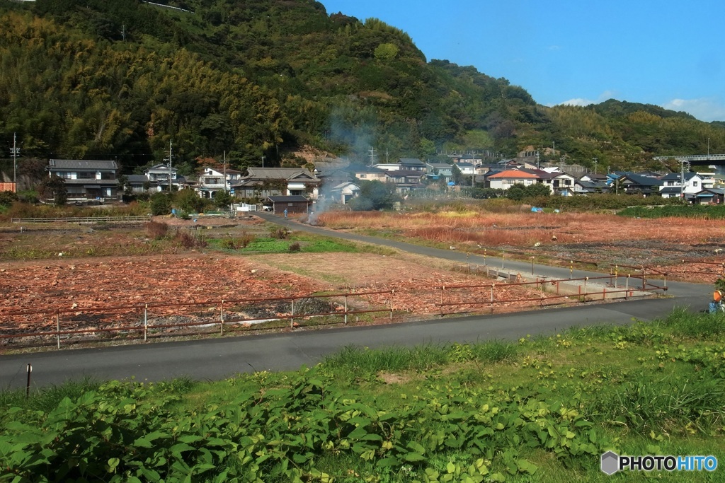 長閑