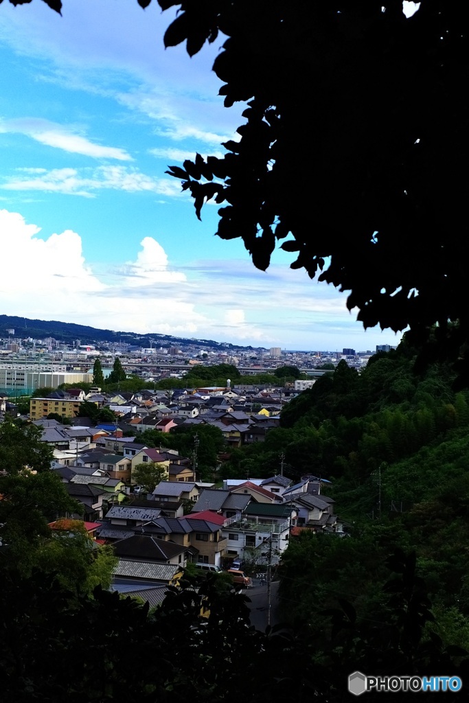 木の実探しに山に