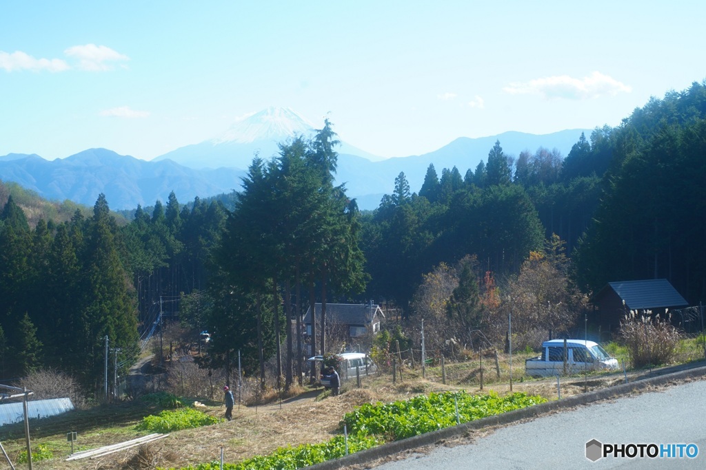 山梨県の蕎麦屋にて 2　（オールドレンズ）