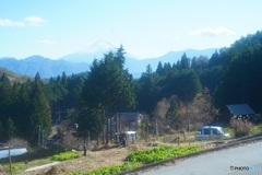 山梨県の蕎麦屋にて 2　（オールドレンズ）