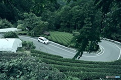 山道