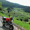 ツーリングの思い出画像　熊の棚田