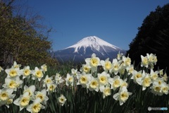 富士山 3