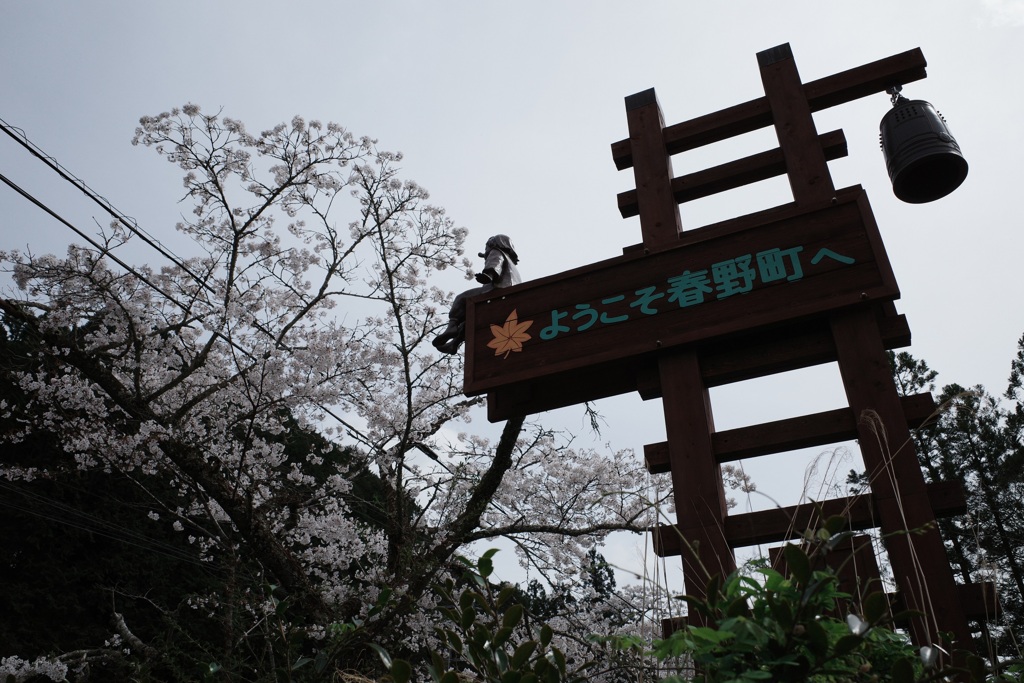 春野町の天狗