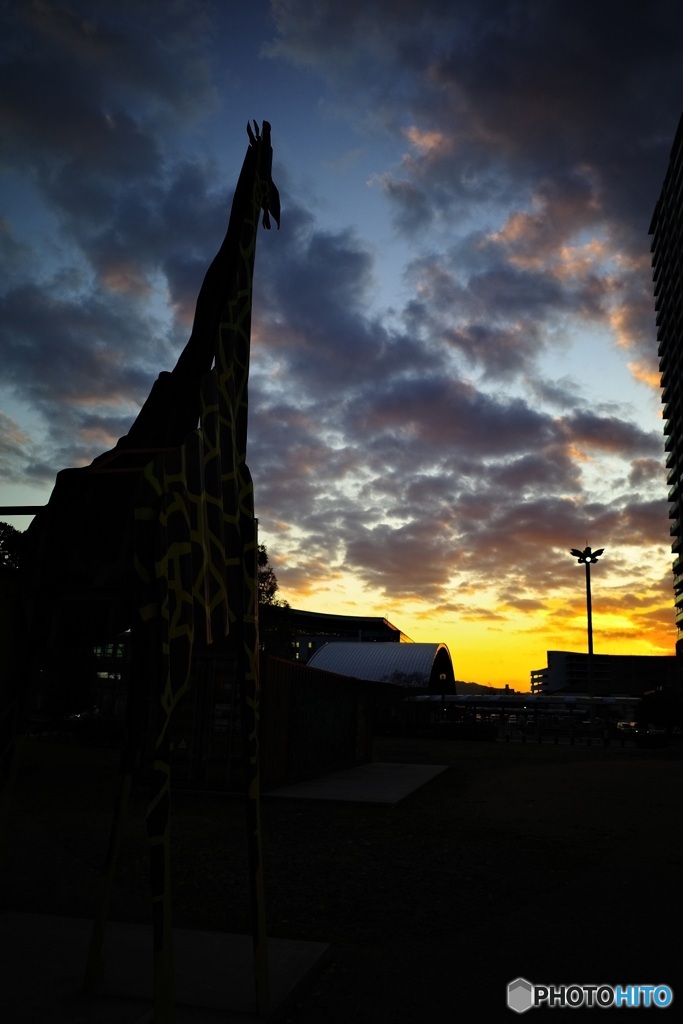 夕陽に　2