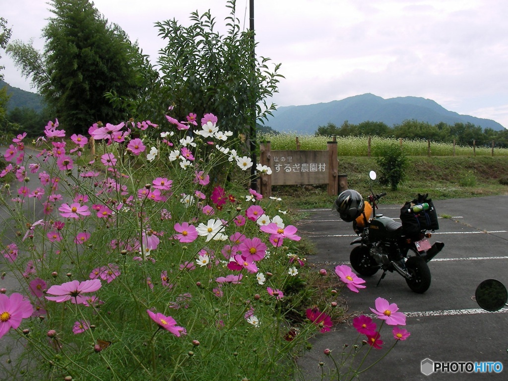 ツーリングの思い出画像　大鹿村