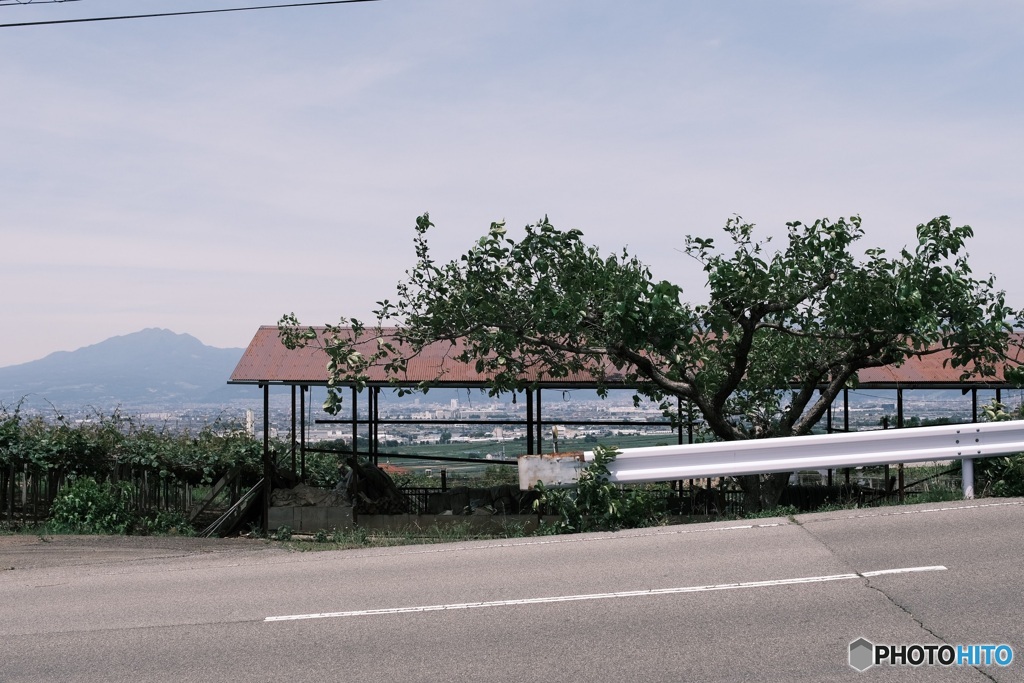 山梨県　風景