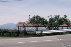 山梨県　風景