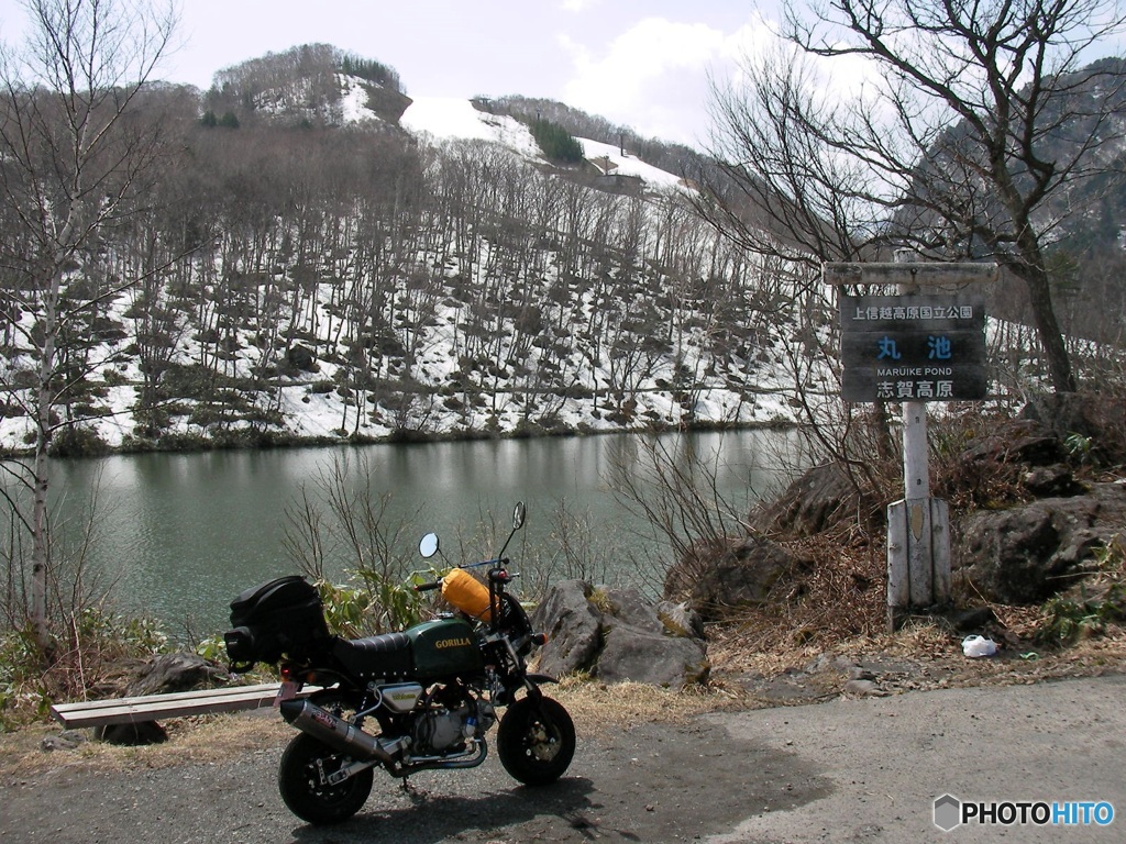 旅ゴリラ　志賀高原　丸池