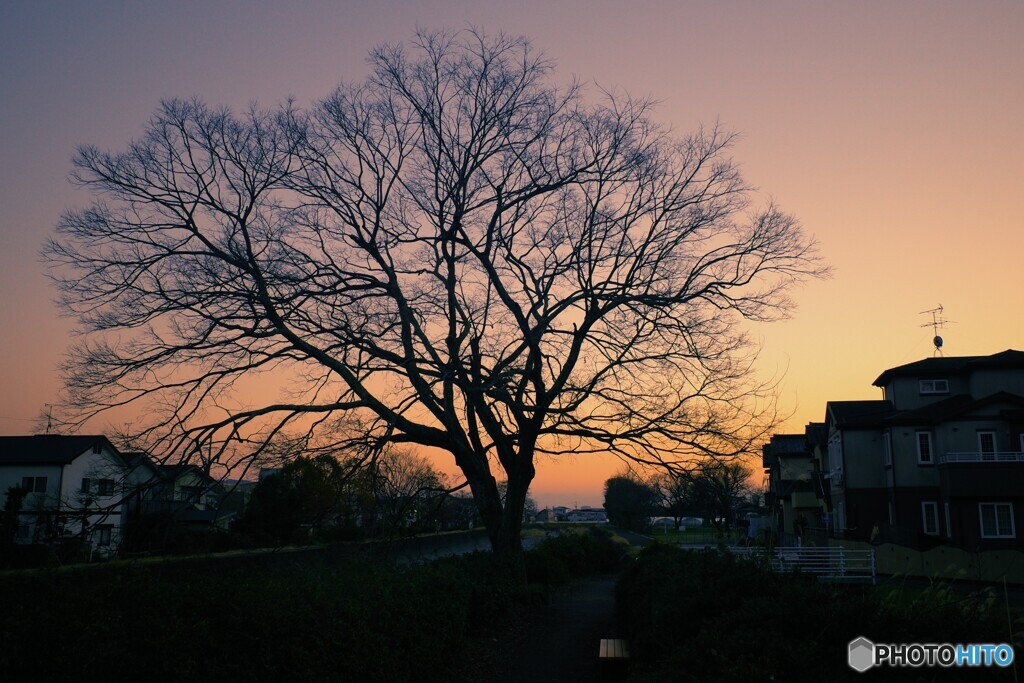 夕暮れ
