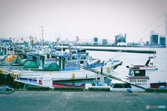 大井川港