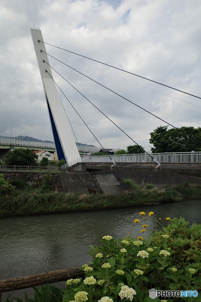 吊り橋 2