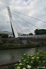 吊り橋 2