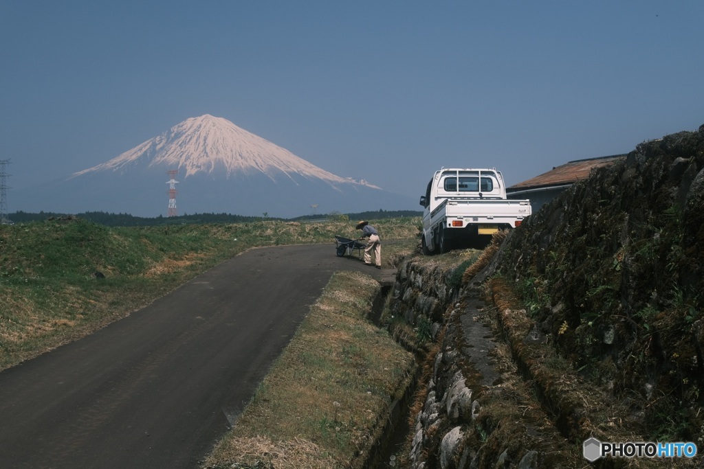 寡黙