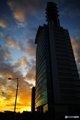 夕陽に　1