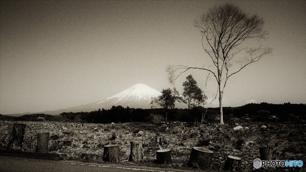 富士山