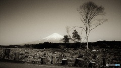 富士山