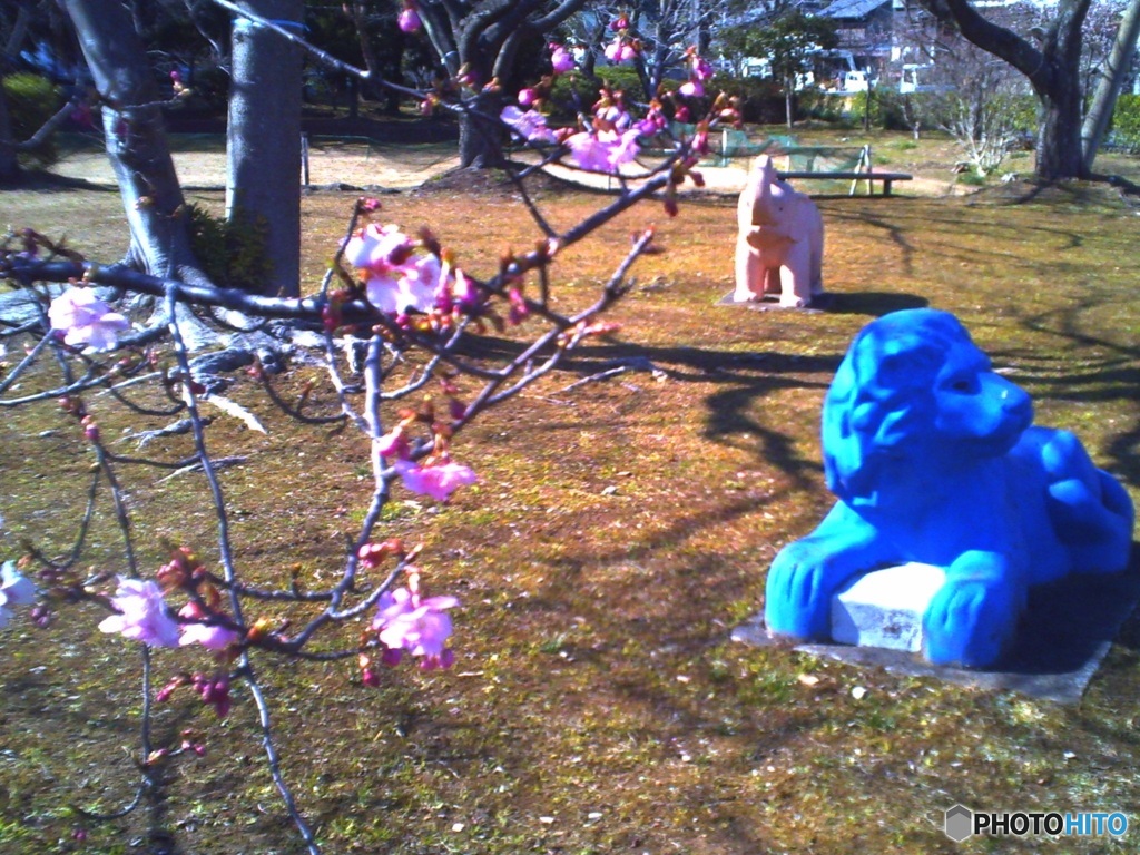 トイデジで　花見