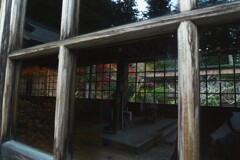 小国神社の紅葉 3