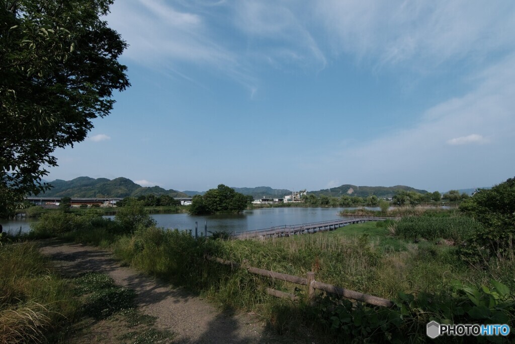 麻機遊水地