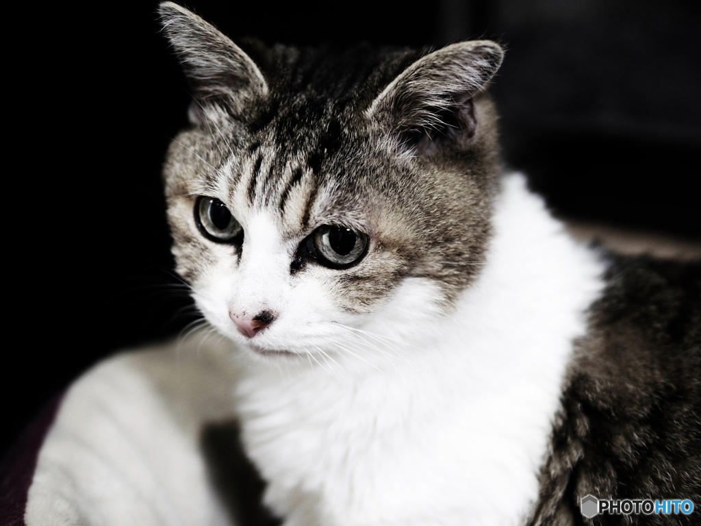 E-P7　試写　きんちゃん