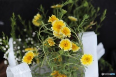 花を買いに行きたいな～