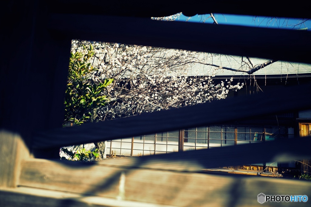 浅間神社にて　1