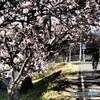 もうすぐ春休み