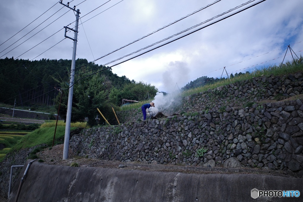 秋めいて