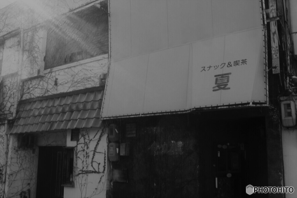 今はもう・・