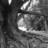 公園にて