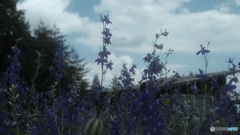 紫色の花