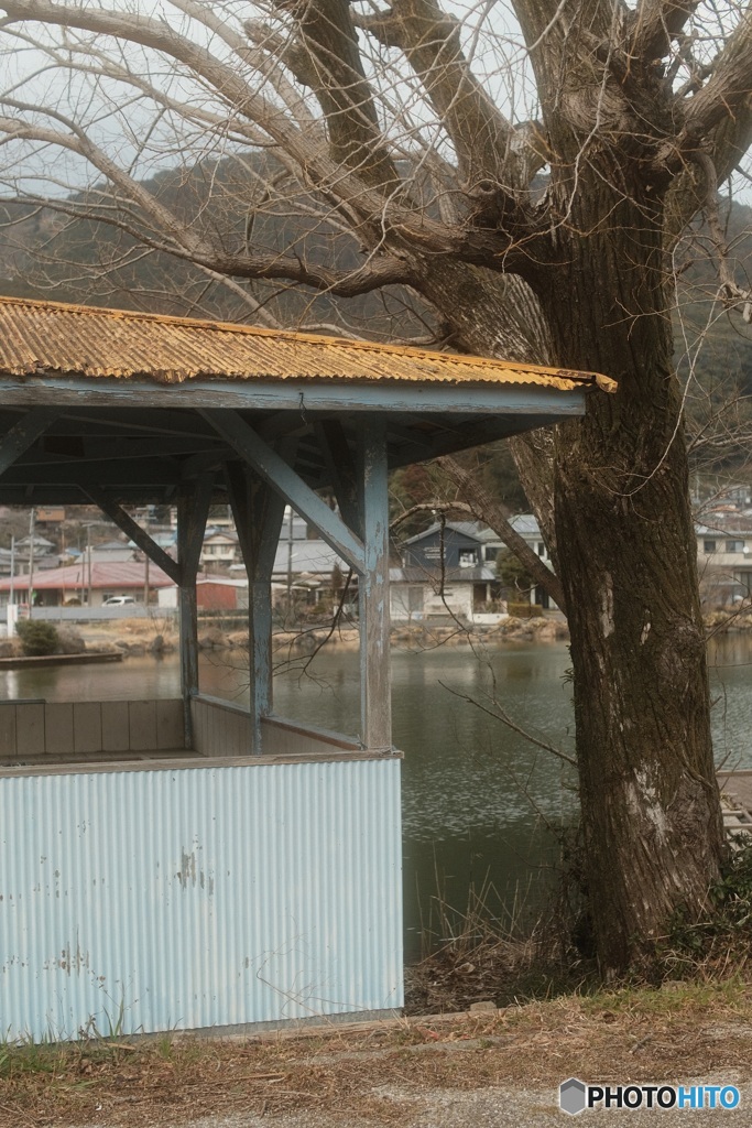 野守の池 3