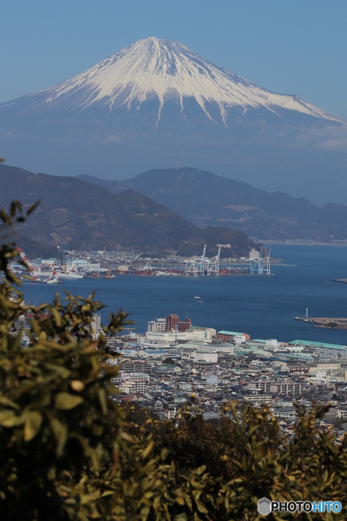 ド定番  日本平からの富士山