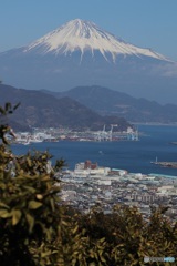 ド定番  日本平からの富士山