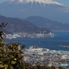 ド定番  日本平からの富士山