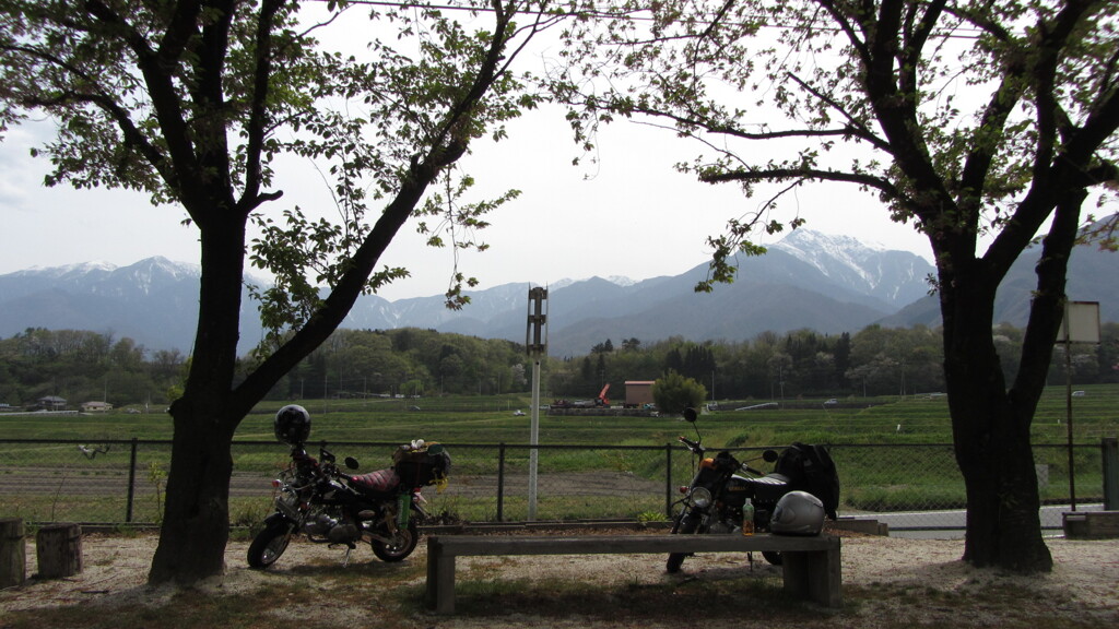 旅ゴリラ　山梨県