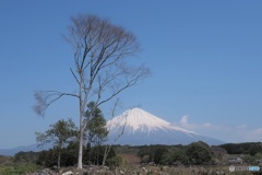 富士山 2