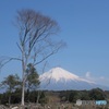 富士山 2