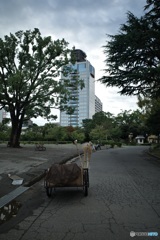 駿府城公園にて