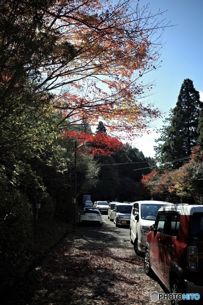 小国神社 2