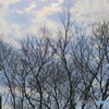 普通に空