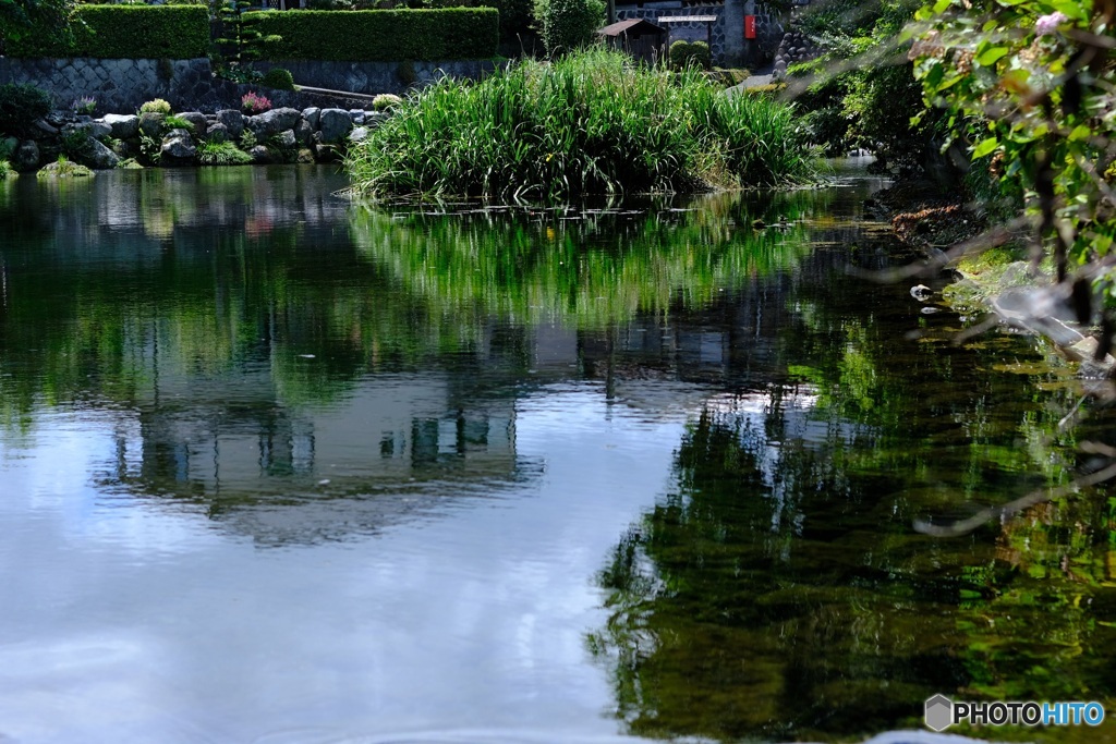 水辺　2