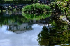 水辺　2