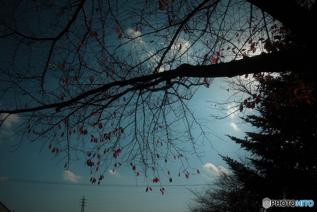 12月の空