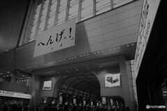 鳥が飛んだ