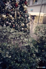 GRらしく　クリスマスツリー 2