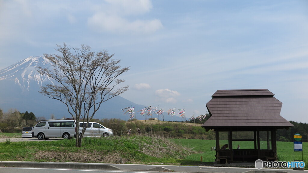 富士山と鯉のぼり