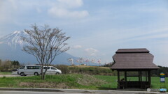 富士山と鯉のぼり